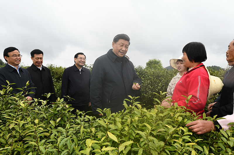 2020年4月21日，习近平在陕西省安康市平利县老县镇蒋家坪村女娲凤凰茶业现代示范园区，同茶农们亲切交谈。